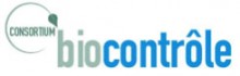 Logo Consortium